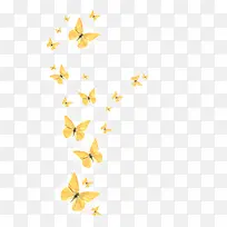 黄色飞舞的蝴蝶-空若网 黄色飞舞的蝴蝶-空若网