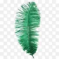卡通羽毛素材 绿色精美羽毛-空若网 卡通羽毛素材 绿色精美羽毛-空若网