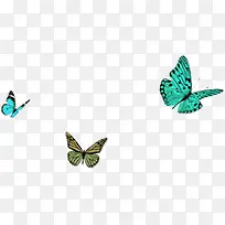 ����ĺ���-������