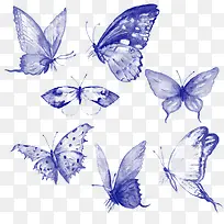 飞舞的蝴蝶-空若网 飞舞的蝴蝶-空若网