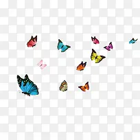 ����ĺ���-������