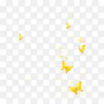 飞舞的蝴蝶-空若网 飞舞的蝴蝶-空若网