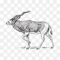 ���趯��-������