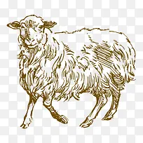 素描 动物-空若网 素描 动物-空若网