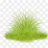 �ݱ�ֲ�������-��-������