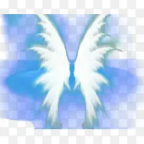 唯美光翅膀-空若网 唯美光翅膀-空若网