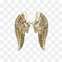 翅膀-空若网 翅膀-空若网