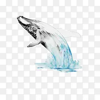 插画-空若网 插画-空若网