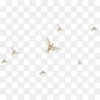 ������Ӱ��ɫ��ƽ��Ч��ʸ��ͼ-������