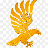 金色老鹰-空若网 金色老鹰-空若网