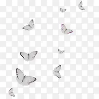 ��Ⱥ����-������