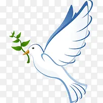 白色 鸽子-空若网 白色 鸽子-空若网