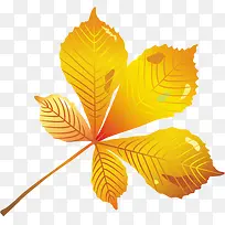 秋天的叶子矢量免抠效果素材-空若网 秋天的叶子矢量免抠效果素材-空若网