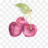奥格里斯水彩画艺术绘画-樱桃-空若网 奥格里斯水彩画艺术绘画-樱桃-空若网