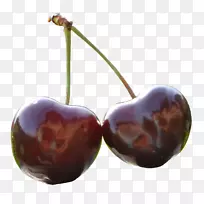 甜樱桃果-空若网 甜樱桃果-空若网