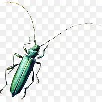 �ֻ����ͼƬ����廭-������