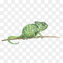 ľ���ϵ��ֻ涯��-������