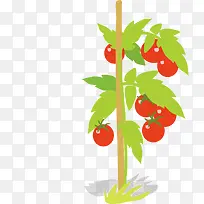 ʸ��ͼ֧���ŷ�������ľ��-������