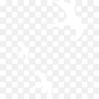 白色海鸥剪影-空若网 白色海鸥剪影-空若网