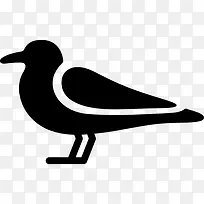 海鸥还图标-空若网 海鸥还图标-空若网