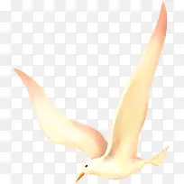 ��������ֻ����ĺ�Ÿ���-������