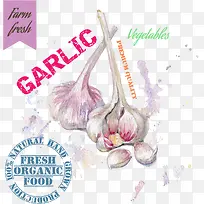 大蒜蔬菜绘画设计矢量素材-空若网 大蒜蔬菜绘画设计矢量素材-空若网
