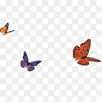 ����ƮƮ-������