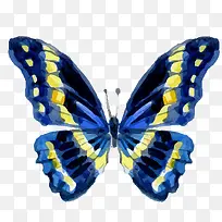 蝴蝶花纹设计矢量图-空若网 蝴蝶花纹设计矢量图-空若网