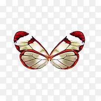 �������չ���ز�-������