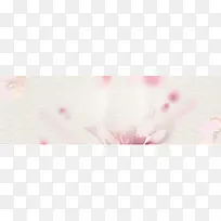 ���µ��ű���-������