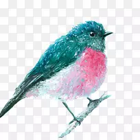 澳大利亚油画中的鸟画-鸟水彩-空若网 澳大利亚油画中的鸟画-鸟水彩-空若网
