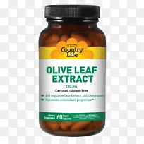 膳食补充剂维生素b-6b维生素肉碱橄榄叶-空若网 膳食补充剂维生素b-6b维生素肉碱橄榄叶-空若网