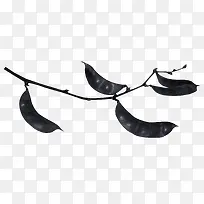 黑色蚕豆-空若网 黑色蚕豆-空若网