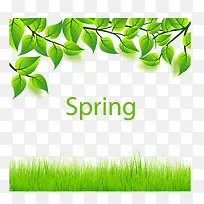 ������ɫ��Ҷ��ݵ�-������