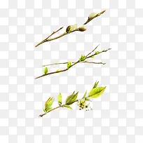 春日树枝发芽-空若网 春日树枝发芽-空若网