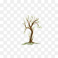 ��-������