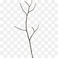 ����-������