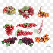 葡萄葡萄-空若网 葡萄葡萄-空若网