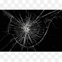 ����Ĳ�������-������