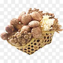 ʳ�������-������