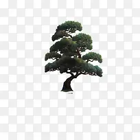 ÓÎÏ·ËØ²Ä-¿ÕÈôÍø ÓÎÏ·ËØ²Ä-¿ÕÈôÍø