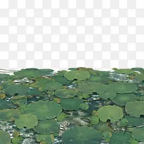 ��Ϸ�ز�-������