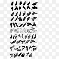 精美手绘翅膀矢量素材-空若网 精美手绘翅膀矢量素材-空若网