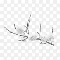 手绘树枝-空若网 手绘树枝-空若网