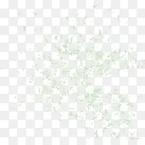 ��ɫī��-������