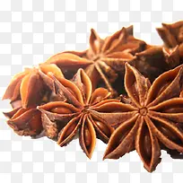 八角茴香摄影-空若网 八角茴香摄影-空若网