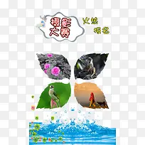 ��Ӱ���������زĺ���-������