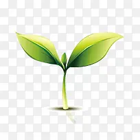 春天发芽-空若网 春天发芽-空若网