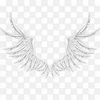 ��ɫ���-������