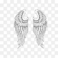 翅膀-空若网 翅膀-空若网